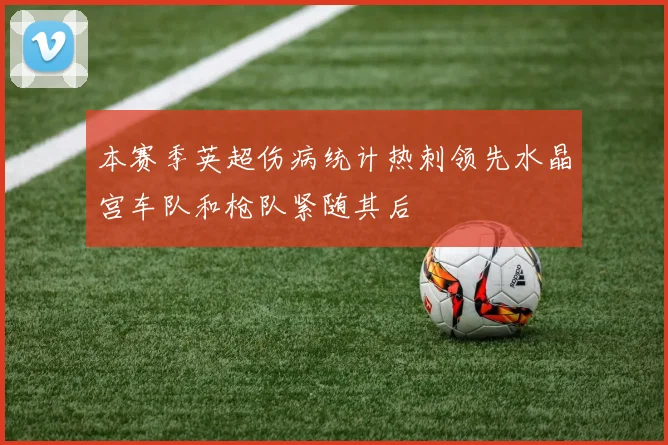 本赛季英超伤病统计热刺领先水晶宫车队和枪队紧随其后